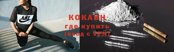 трава Богородицк