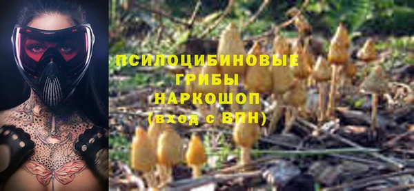 spice Бронницы