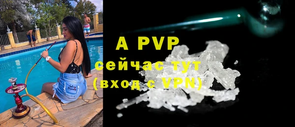амф Богданович