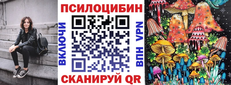 Псилоцибиновые грибы Psilocybe  где купить наркотик  Среднеуральск 